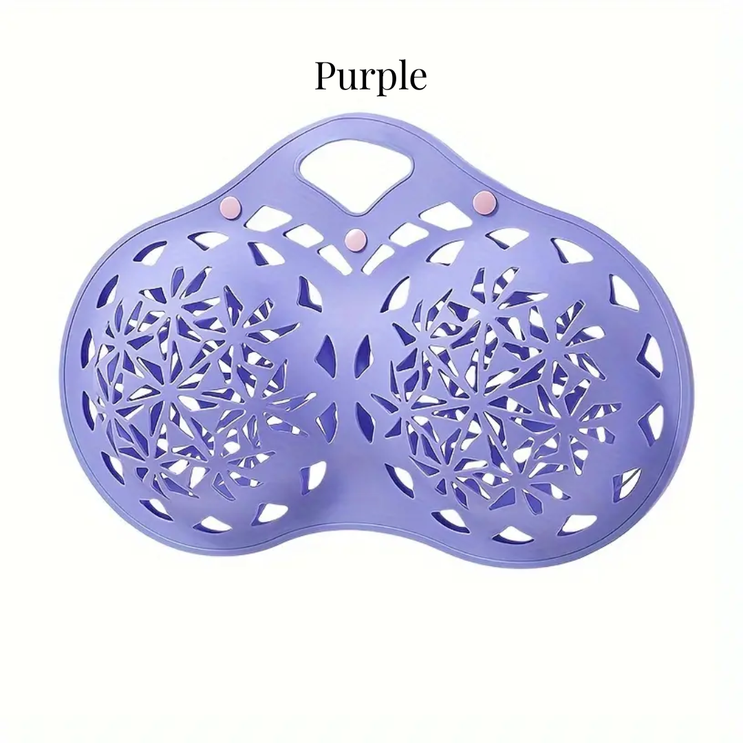 Silicone Multi-Purpose Bra Laundry Basket – Protective & Storage Case 2-compartment design(Available in 3 Colors)